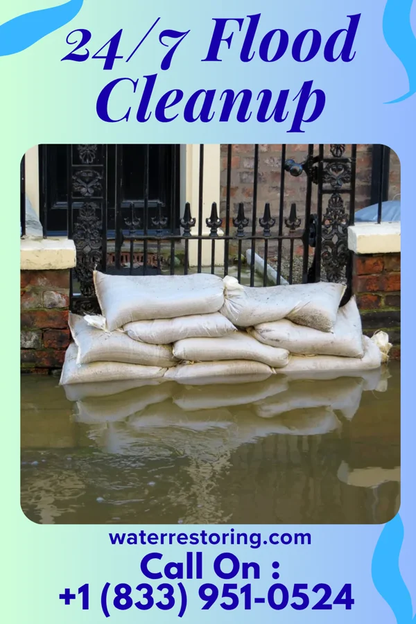 24/7 Flood Cleanup in Abbs Valley, VA