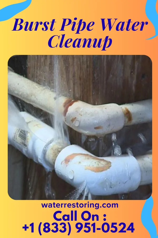 Burst Pipe Water Cleanup in Abbs Valley, VA