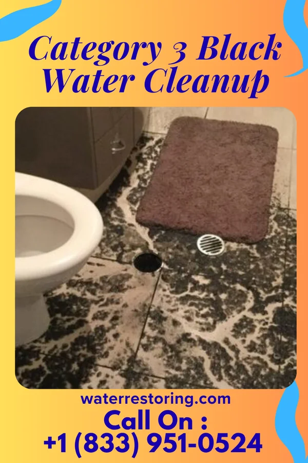 Category 3 Black Water Cleanup in Abbs Valley, VA