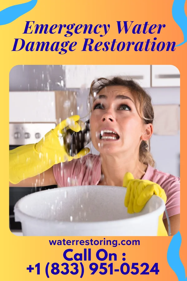 Emergency Water Damage Restoration in Abbs Valley, VA
