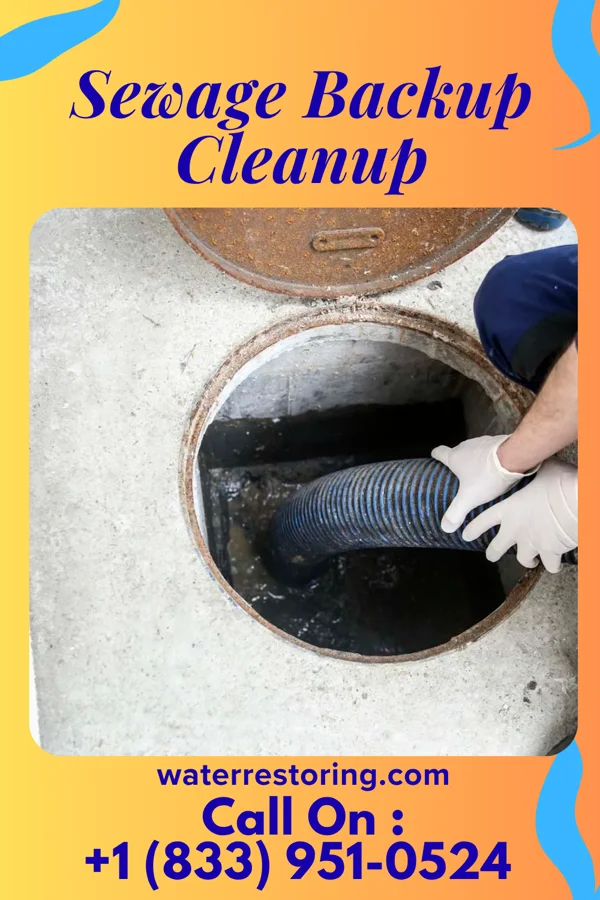Sewage Backup Cleanup in Abbs Valley, VA