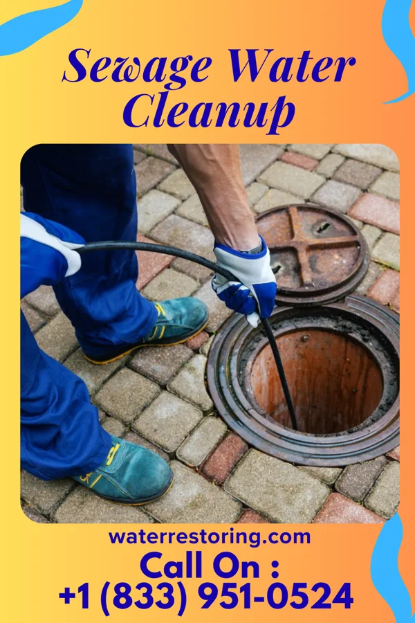 Sewage Water Cleanup in Abbs Valley, VA