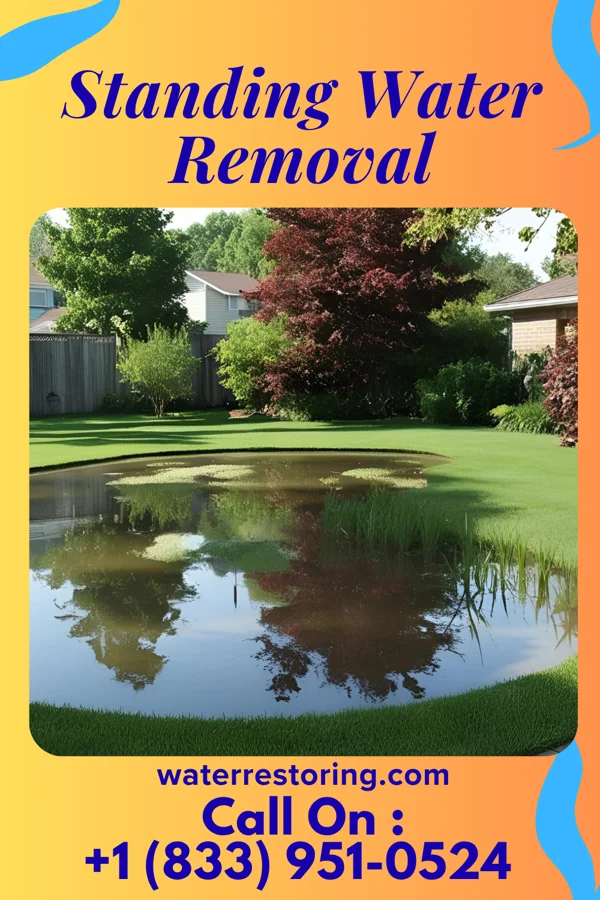 Standing Water Removal in Abbs Valley, VA